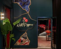 poppies-gallery-1