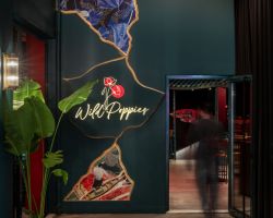poppies-gallery-2